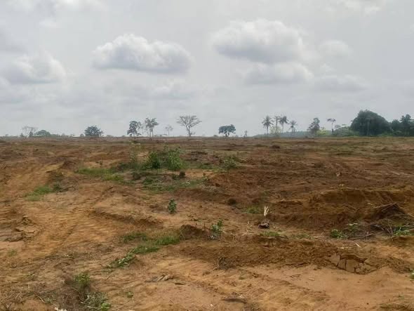 Terrain à vendre au Cameroun : Saisissez l'opportunité à Dibamba dès 6 500 FCFA / m² 702677554 122101265679326091 6960441378967263652 n